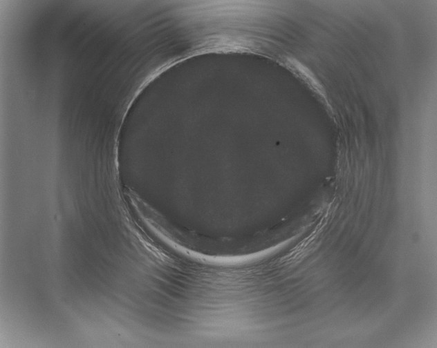 X0000072501226200608111619