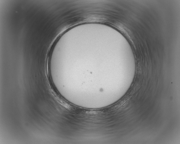 X0000072501227200608111619