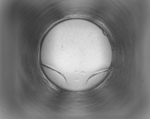 X0000072501228200608111619