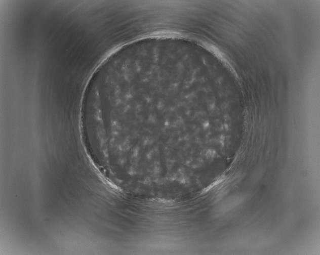 X0000072501229200608111619