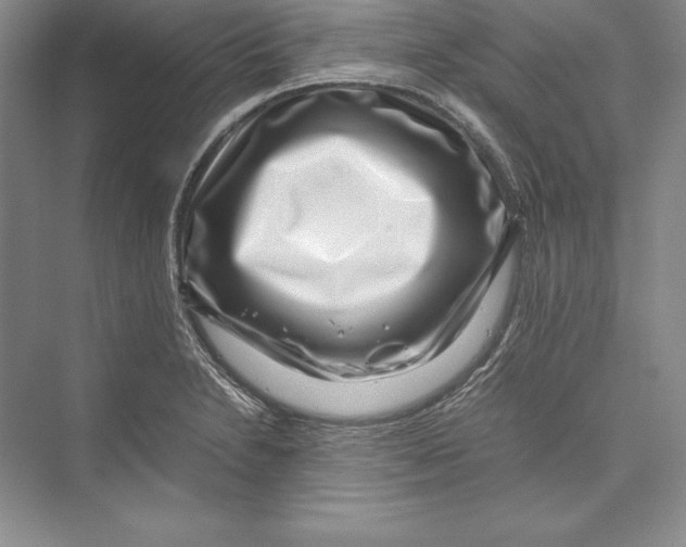 X0000072501230200608111619