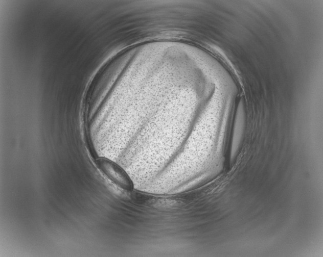 X0000072501235200608111620