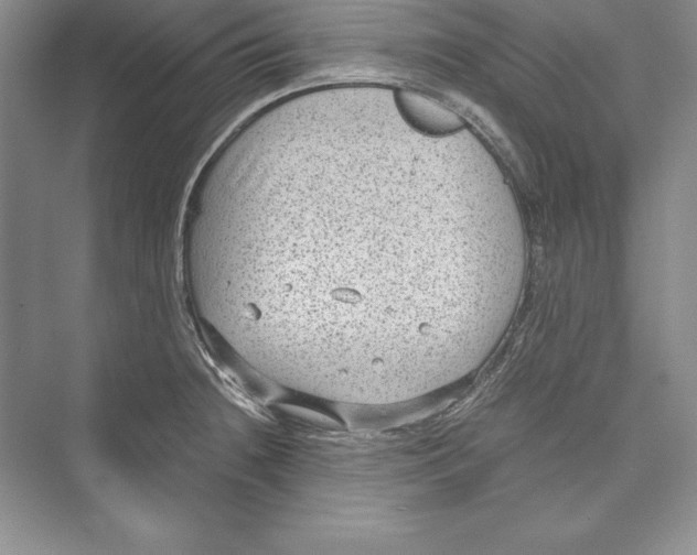 X0000072501236200608111620