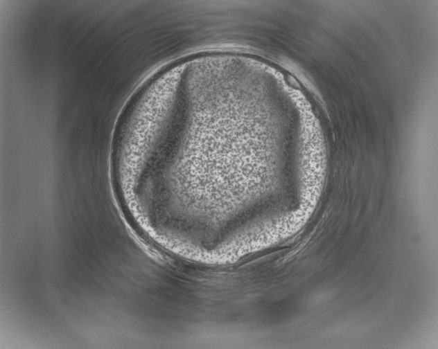 X0000072501237200608111620