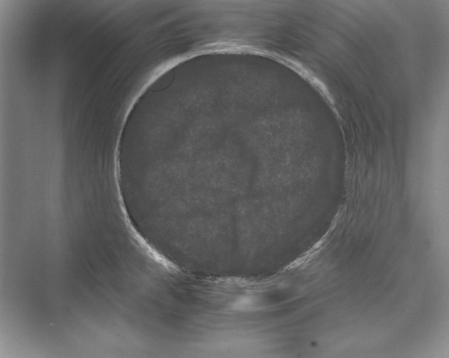 X0000072501239200608111620