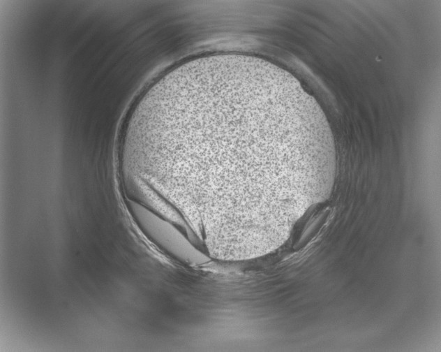 X0000072501240200608111620