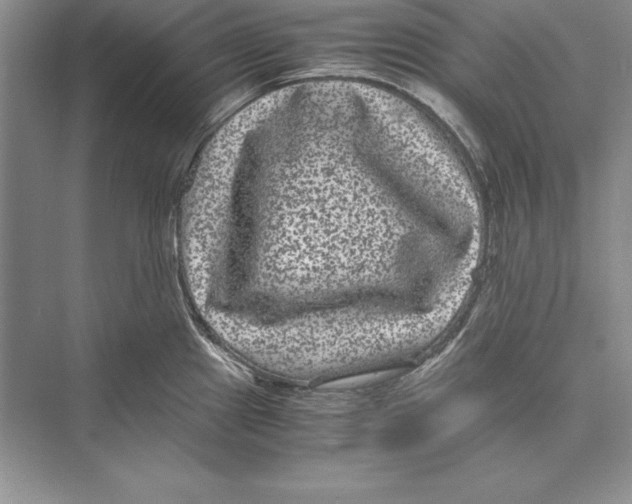 X0000072501241200608111620