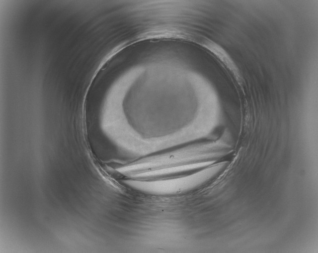 X0000072501242200608111620