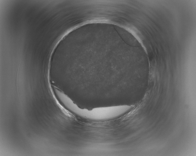 X0000072501245200608111620