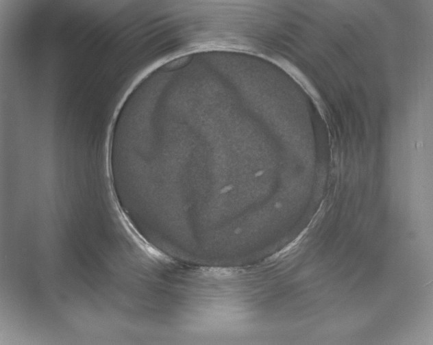 X0000072501246200608111620