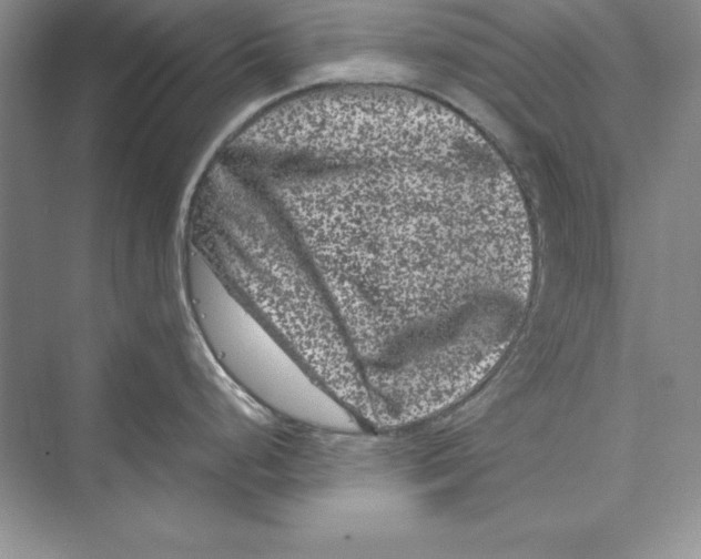 X0000072501248200608111620