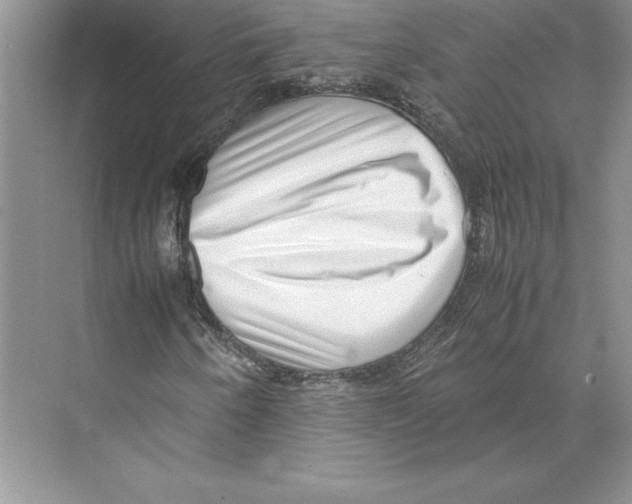 X0000072501250200608111619