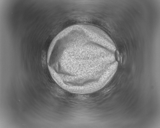 X0000072501251200608111619