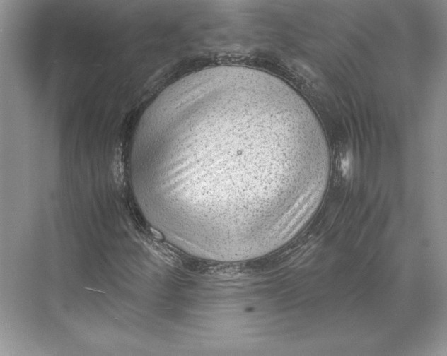 X0000072501252200608111619