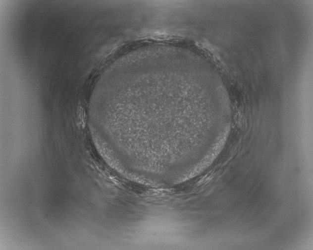 X0000072501253200608111619