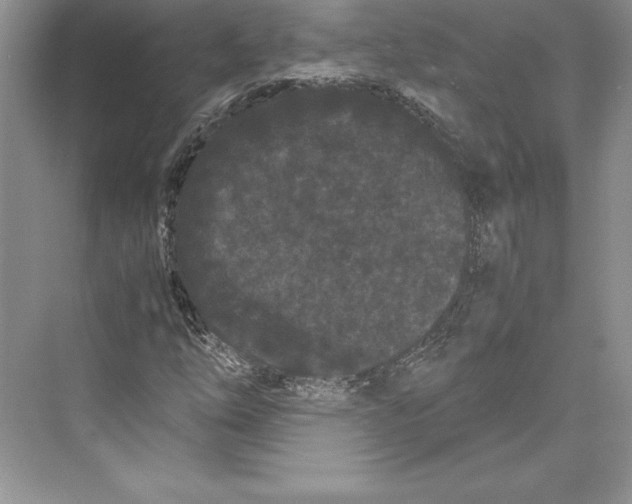 X0000072501254200608111619