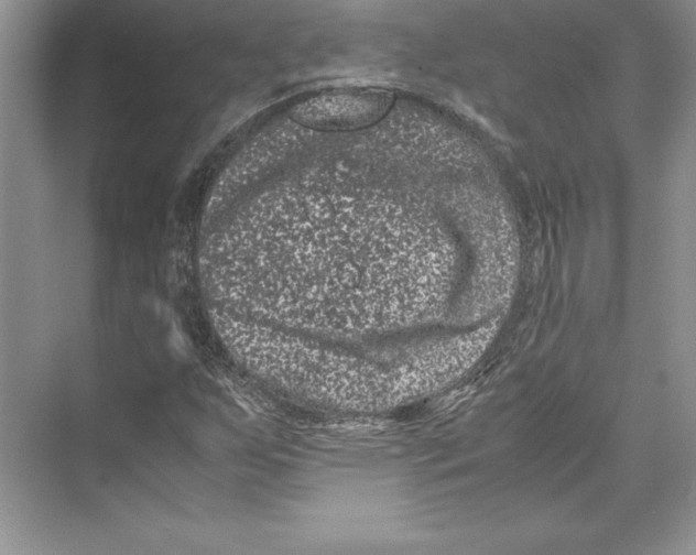 X0000072501255200608111619