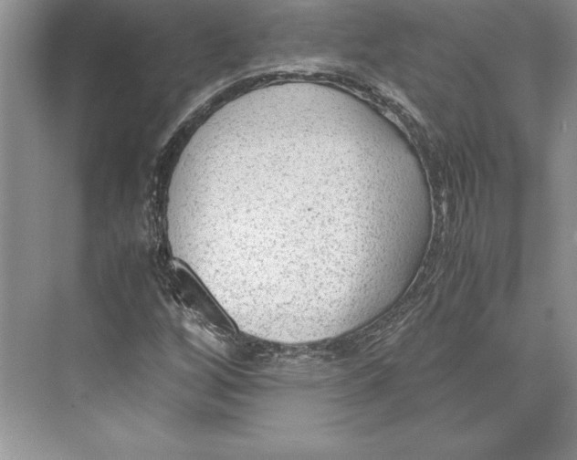 X0000072501256200608111619