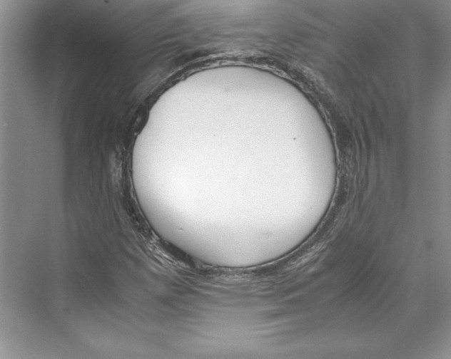 X0000072501257200608111619