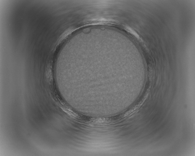 X0000072501259200608111619