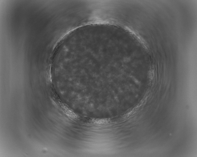 X0000072501262200608111619