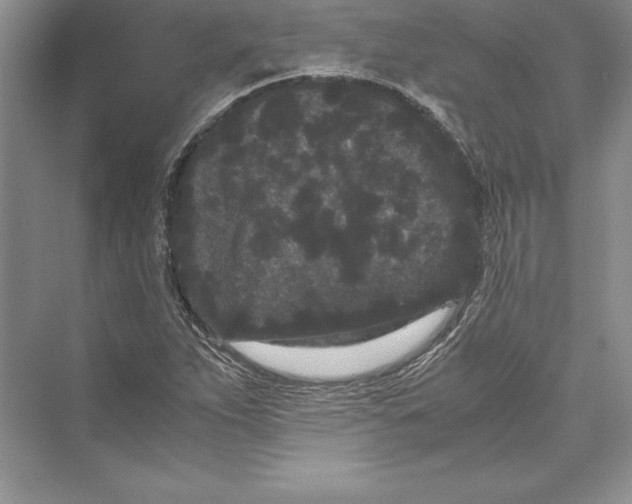 X0000072501263200608111619