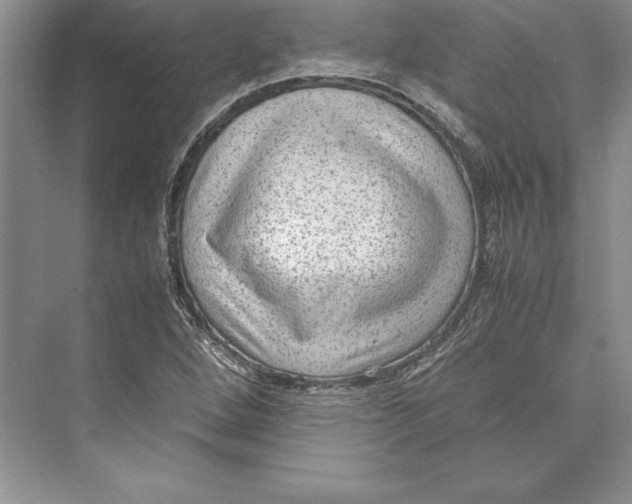 X0000072501264200608111619