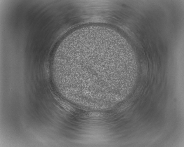 X0000072501266200608111619