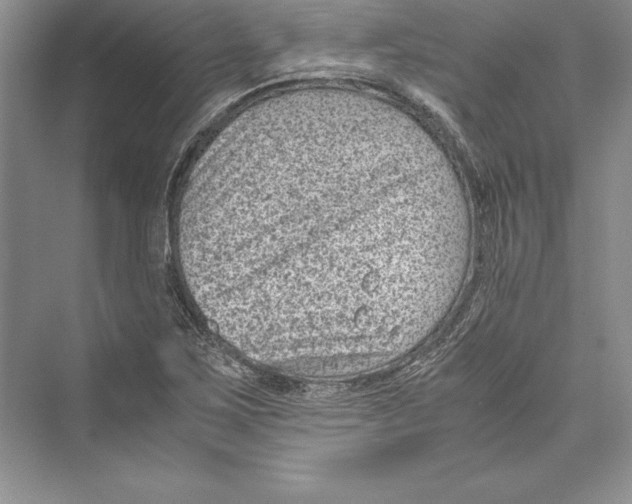 X0000072501267200608111619