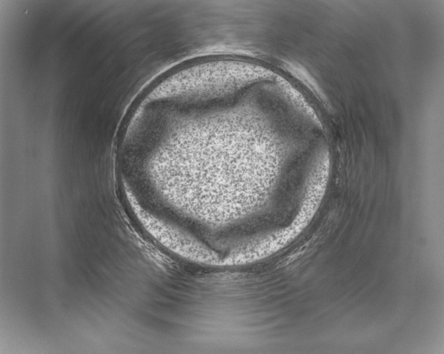 X0000072501268200608111619