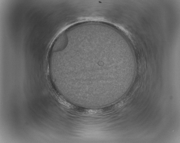 X0000072501271200608111619