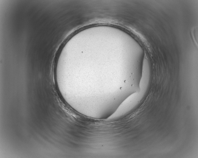 X0000072501272200608111619