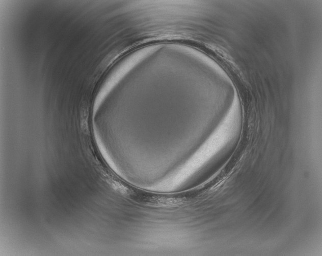 X0000072501273200608111619