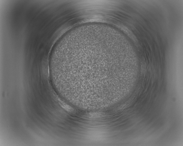 X0000072501274200608111618