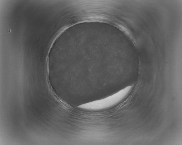 X0000072501275200608111618