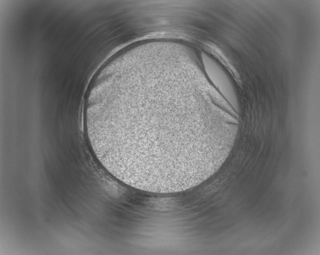 X0000072501276200608111618