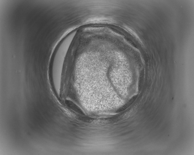 X0000072501277200608111618