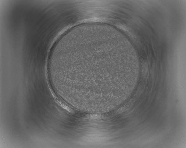 X0000072501278200608111618