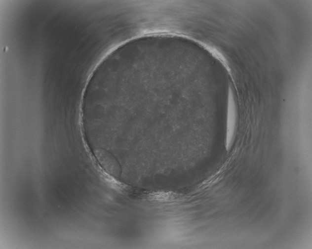 X0000072501279200608111618