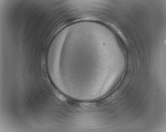 X0000072501281200608111618