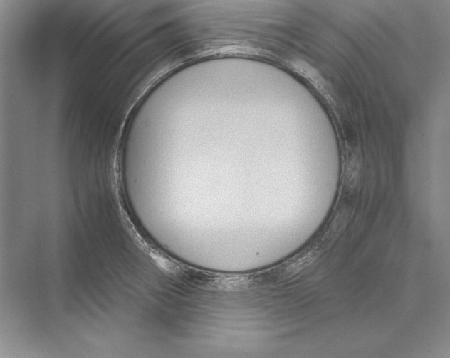 X0000072501282200608111618