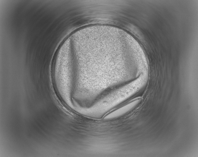 X0000072501283200608111618