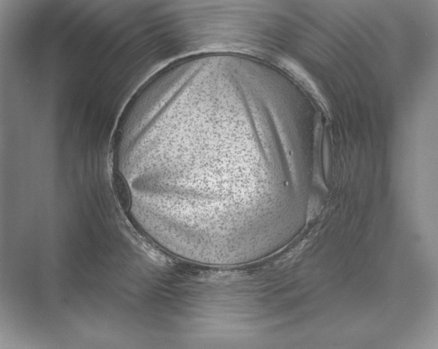 X0000072501284200608111618