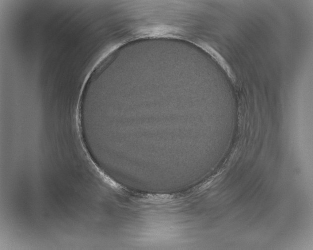 X0000072501285200608111618