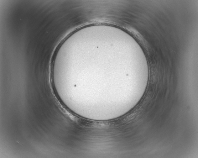 X0000072501286200608111618