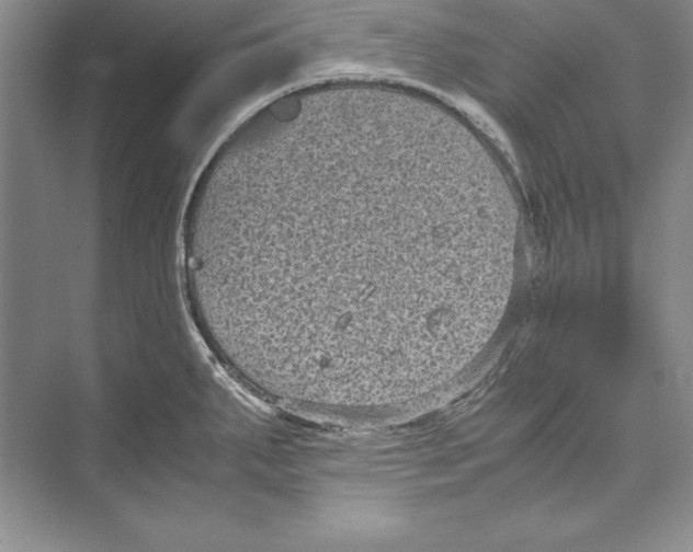 X0000072501287200608111618