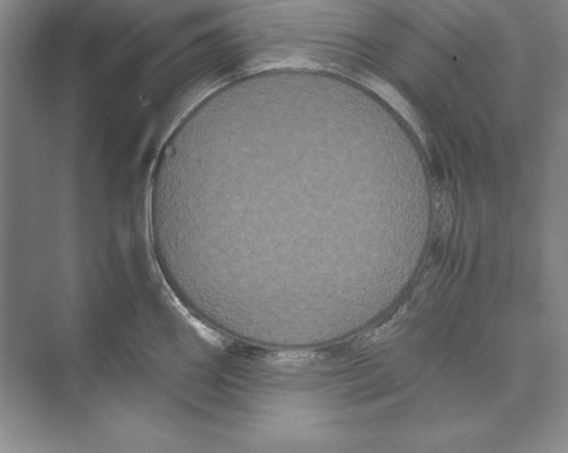 X0000072501290200608111618