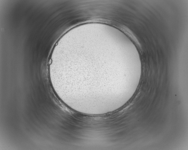 X0000072501292200608111618