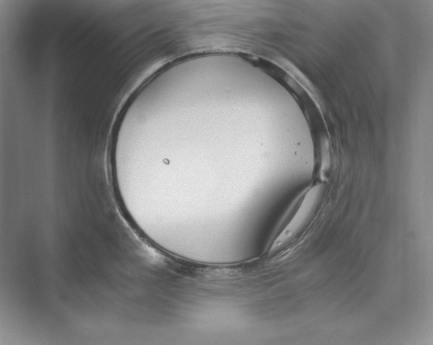 X0000072501293200608111618