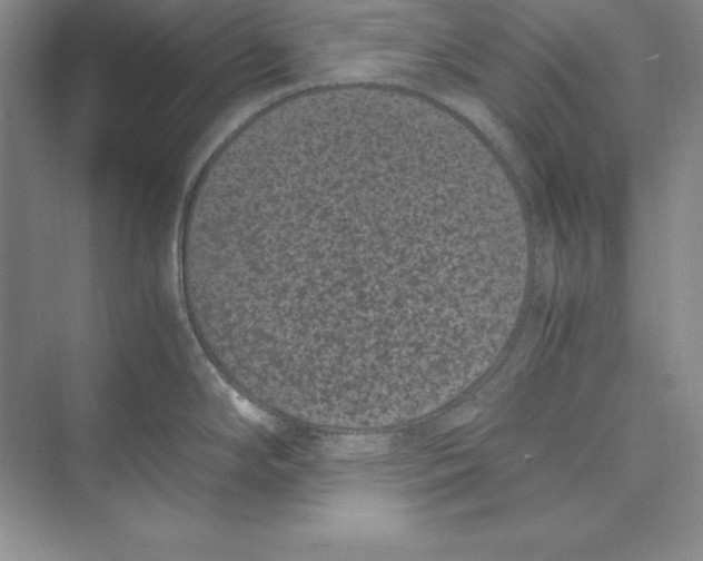 X0000072501294200608111618